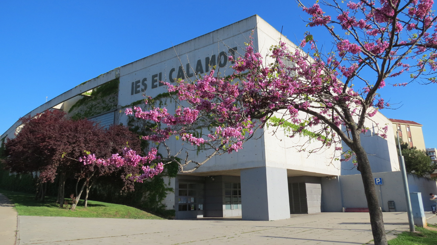Institut El Calamot.