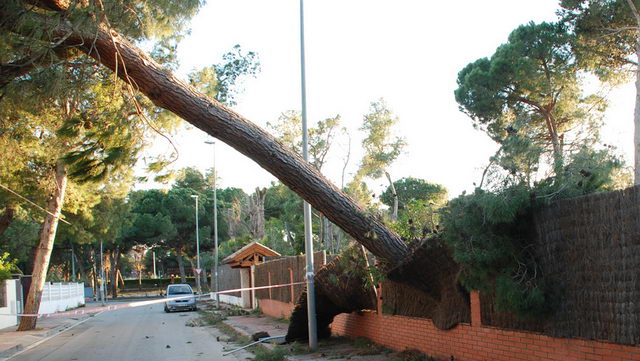 Daños por el viento en Gavà Mar en temporales pasados. Foto gavamar.com.