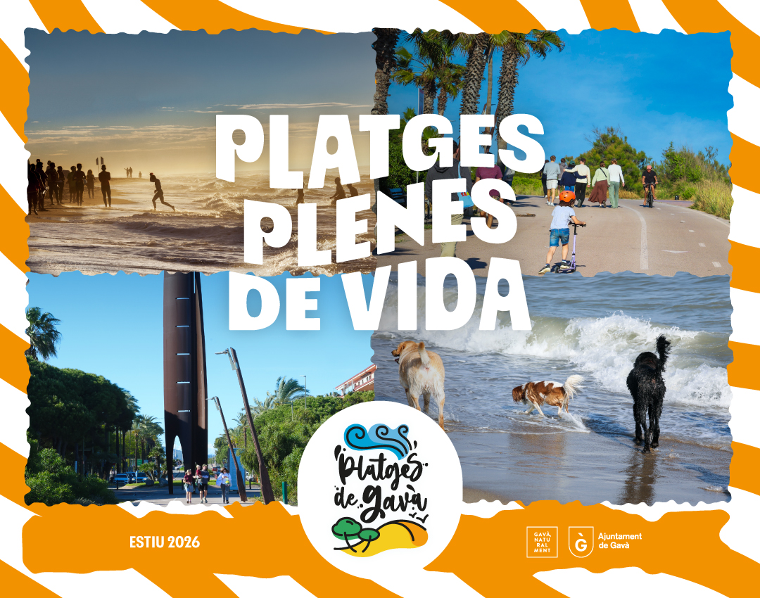 Playas banner